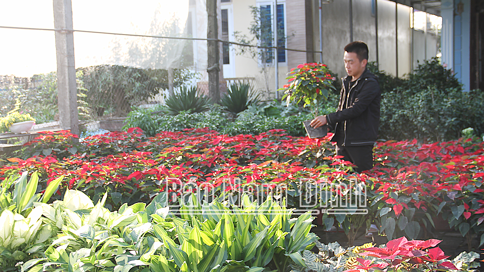  Tân Phú phát triển dịch vụ cung ứng hoa, cây cảnh