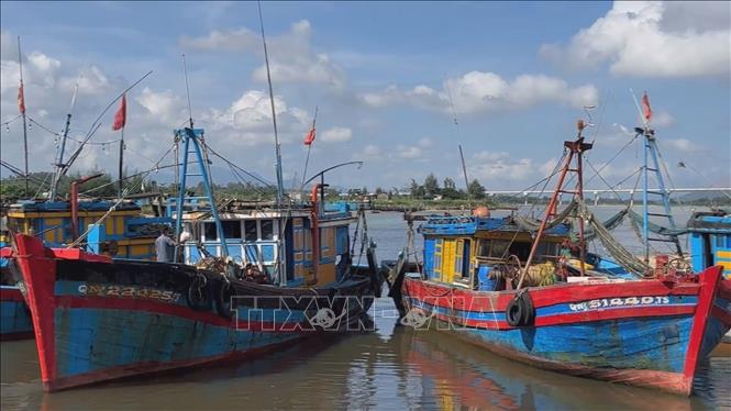 Quảng Ngãi: Gỡ khó cho tàu cá thiếu giấy tờ, thủ tục pháp lý
