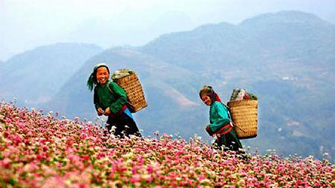 Việt Nam lọt top 20 quốc gia được yêu thích nhất thế giới