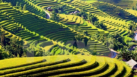 Truyền hình Đức làm chương trình giới thiệu đất nước, con người Việt Nam