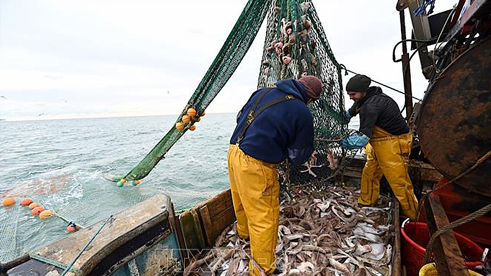 Ngư dân đánh cá ngoài khơi bờ biển phía Đông Nam nước Anh ngày 12/10/2020. Ảnh tư liệu: AFP/TTXVN
